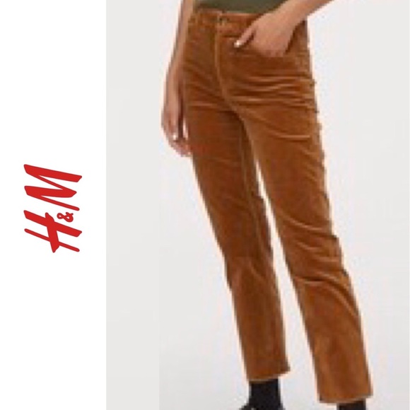 chino corduroy pants